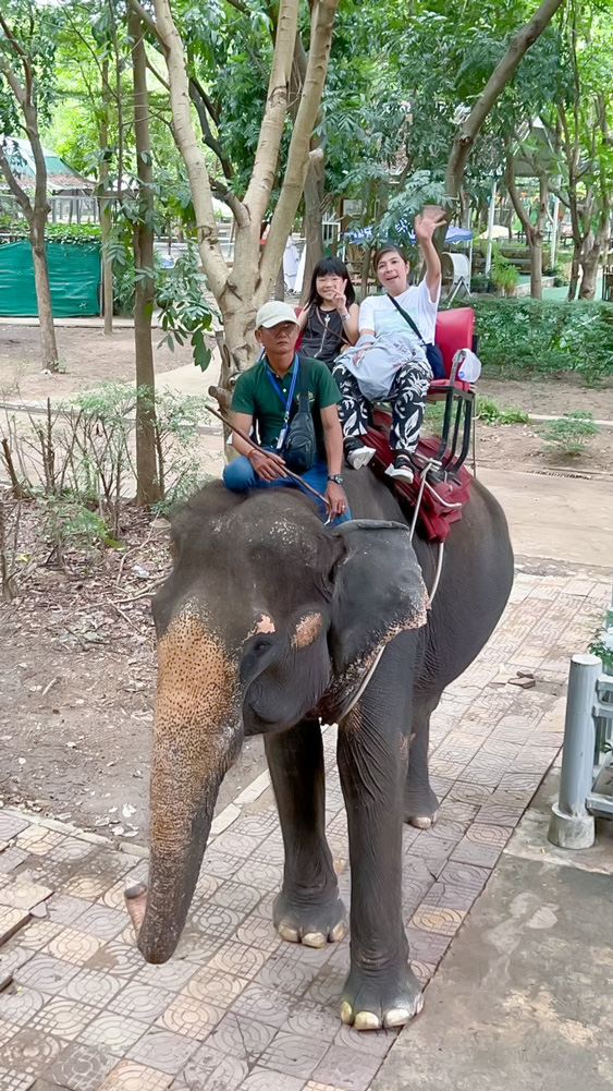Ride on an Elephant